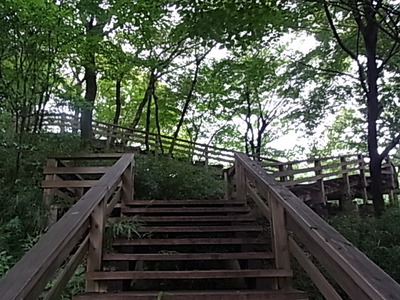 王禅寺ふるさと公園への坂道